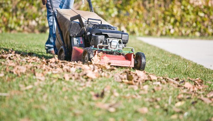 mowing the lawn