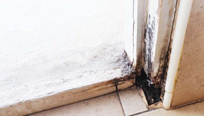 Common door issues that can compromise security