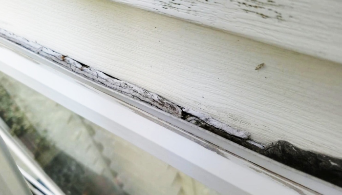 How damaged window frames contribute to energy loss