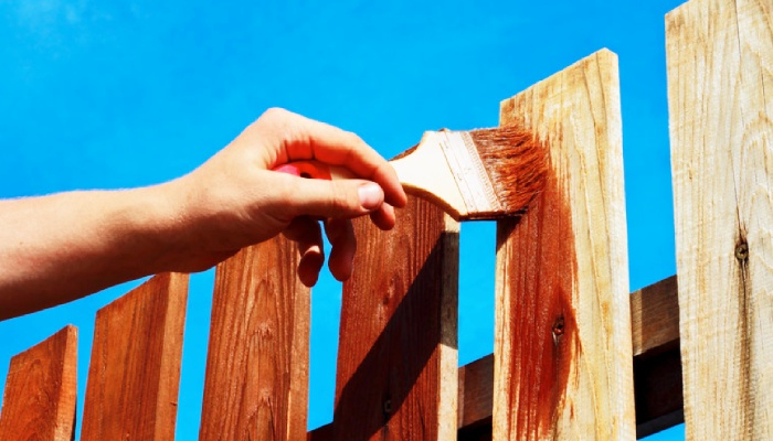Assessing your fence: Identifying seasonal wear and tear