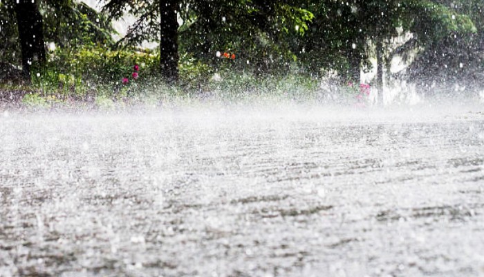 Types of water damage covered by insurance policies