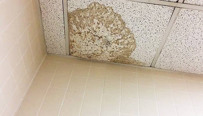 Understanding the source: Why ceiling stains appear